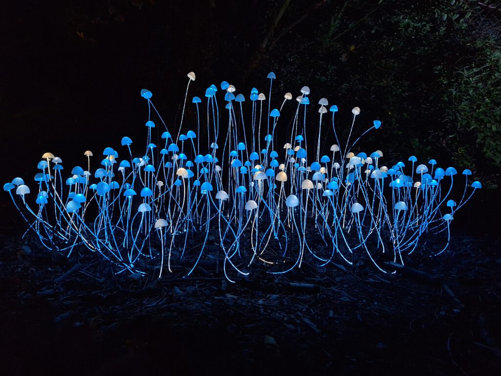 Mycelium Network Stevie Thompson Custom Fibre Optics CREDIT Birmingham Light Festival will brighten February with 11 artworks and over 50 events