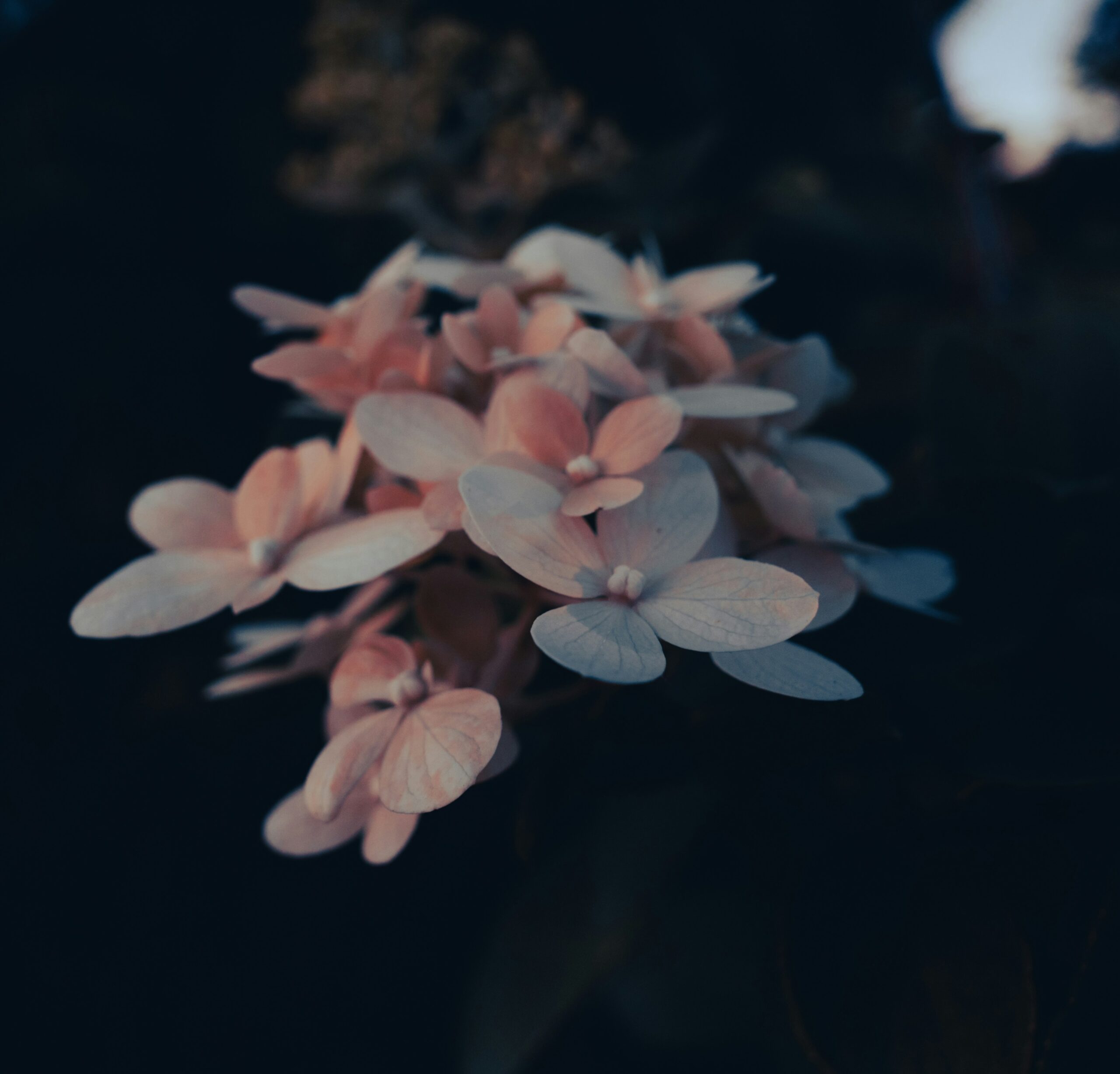 alex rybin QDcKobbw41g unsplash scaled Resources